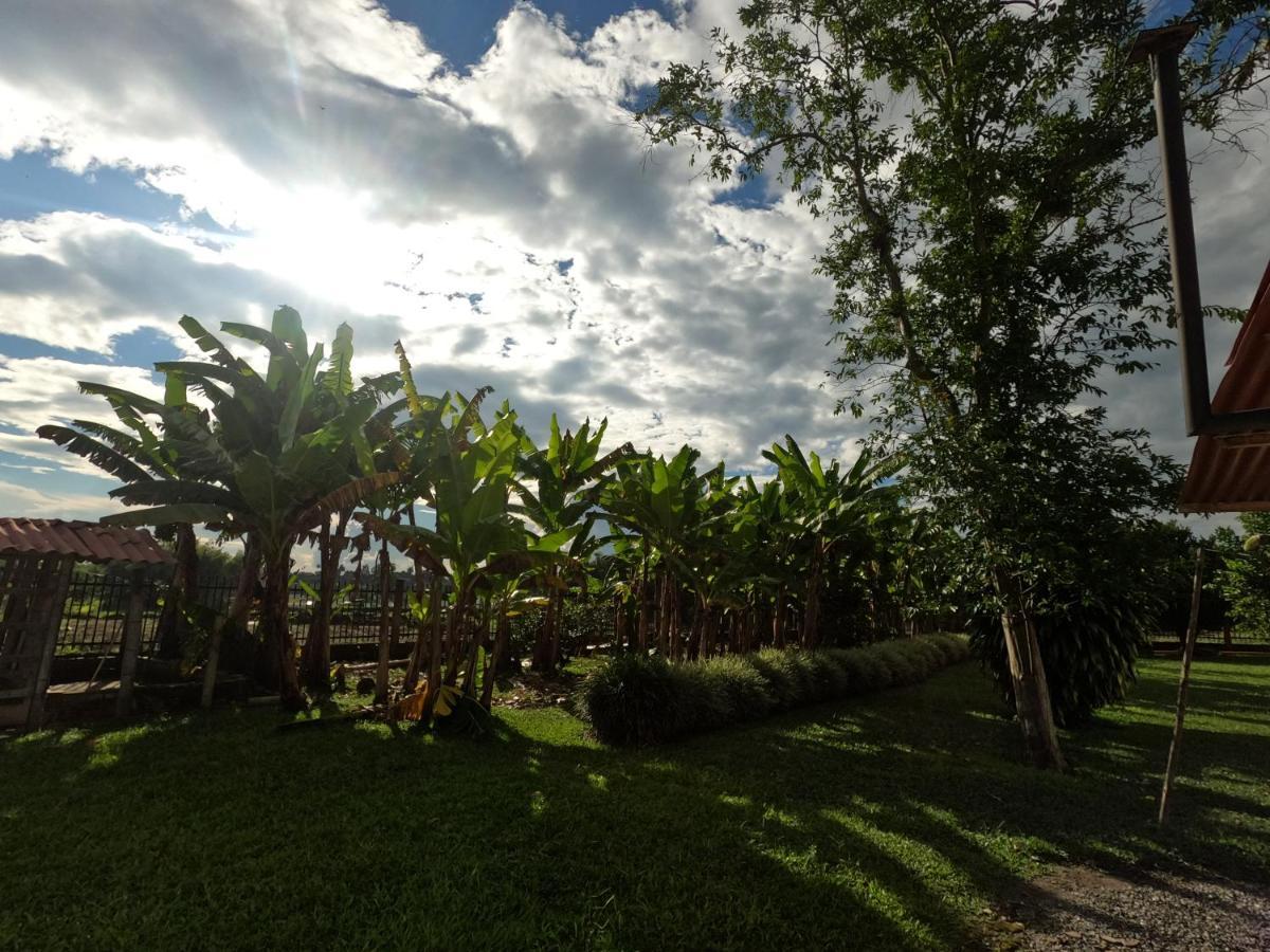 El Socorro Finca Hotel Estrella Del Eden מראה חיצוני תמונה